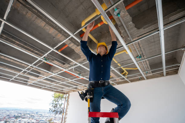 Best 24-Hour Plumber Near Me  in Collinsvle, IL