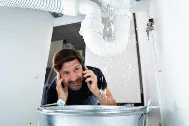 Best Plumbing Services Near Me  in Collinsvle, IL