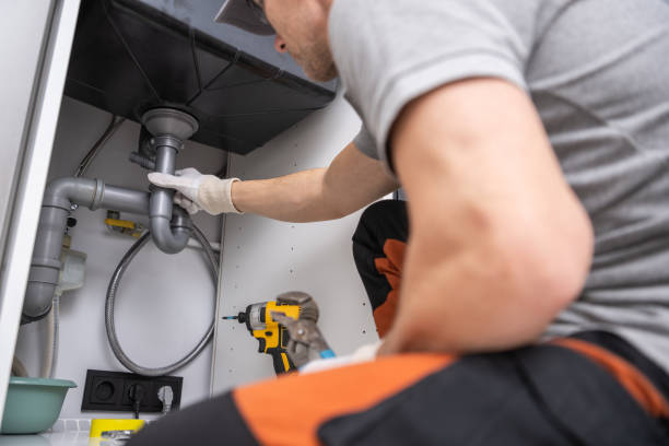 Best Residential Plumbing Services  in Collinsvle, IL